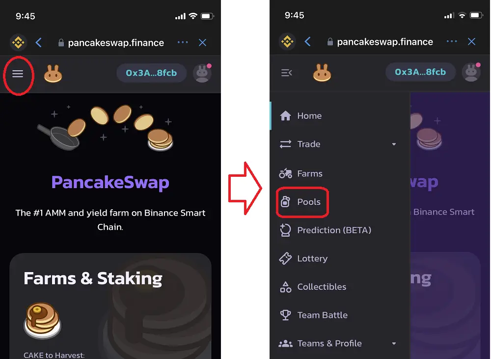 enable pancakeswap trust wallet